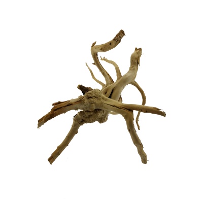 Radacina Yellow Sinking Wood / pret kg