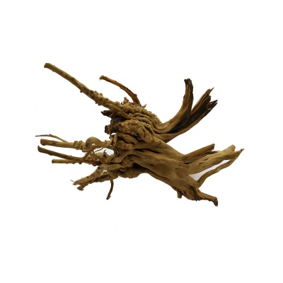 Radacina Yellow Sinking Wood / pret kg