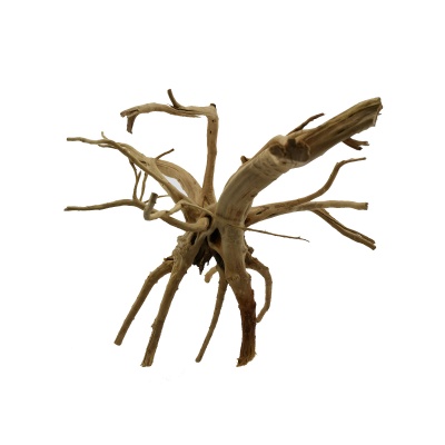 Radacina Yellow Sinking Wood / pret kg