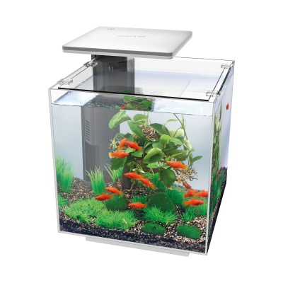 Acvariu Hailea QUBIQ 30 LED Alb