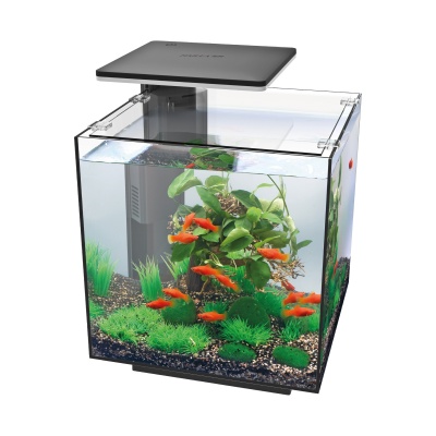 Acvariu Hailea QUBIQ 30 LED Negru