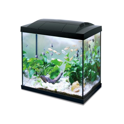 Acvariu Hailea K45 Negru