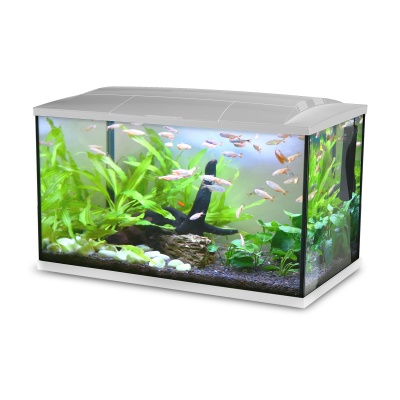 Acvariu Hailea K100 Alb